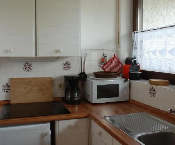 Haus Ambi 公寓 *